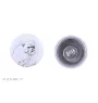 Himalayan Cat - earrings with a beloved cat, own photo, perfect gadget for cat lovers from the Art.-Dog brand.