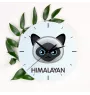 Himalayan - MDF clock with graphics and the Art-Dog brand name
