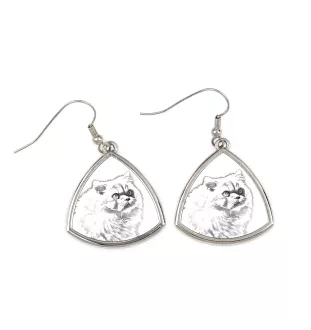 Chat de l'Himalaya - boucles d'oreilles avec un chat, boucles d'oreilles pendantes avec une image, bijoux personnalisés avec l'impression de la marque Art-Dog