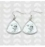Himalayakatze - Katzenohrringe, hängende Ohrringe mit Bild, personalisierter Schmuck mit dem Aufdruck der Marke Art-Dog