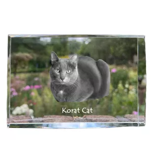 Korat Katze - Kristall mit einem Katzenbild, Bild im Glas, moderne Ausstellung des Art-Dog-Fotos.