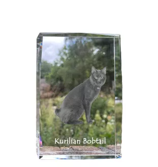 Bobtail kurilien - cristal avec une photo de chat, photo sous verre, exposition moderne de la marque de photos Art-Dog