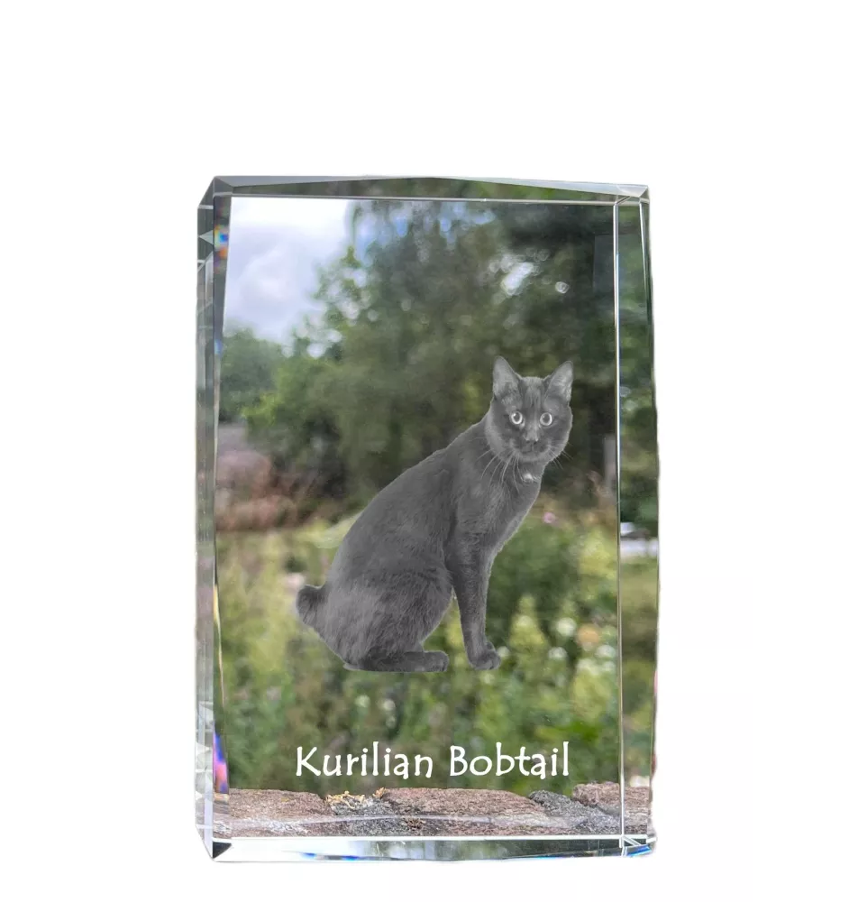 Kurilianer Bobtail - Kristall mit einem Katzenbild, Bild im Glas, moderne Ausstellung des Art-Dog-Fotos.