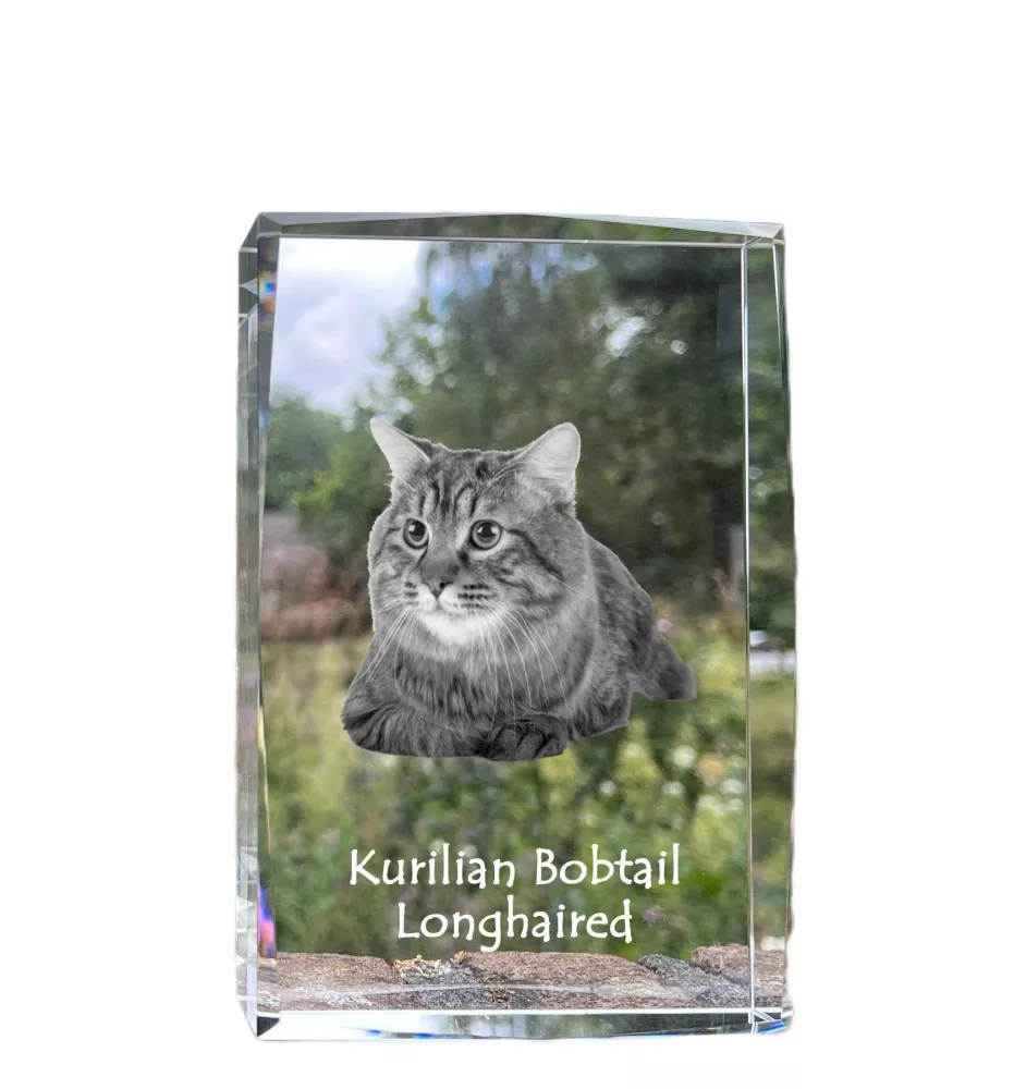 Kurilian bobtail à poil long - cristal avec une photo de chat, photo sous verre, exposition moderne de la marque de photos Art-Dog