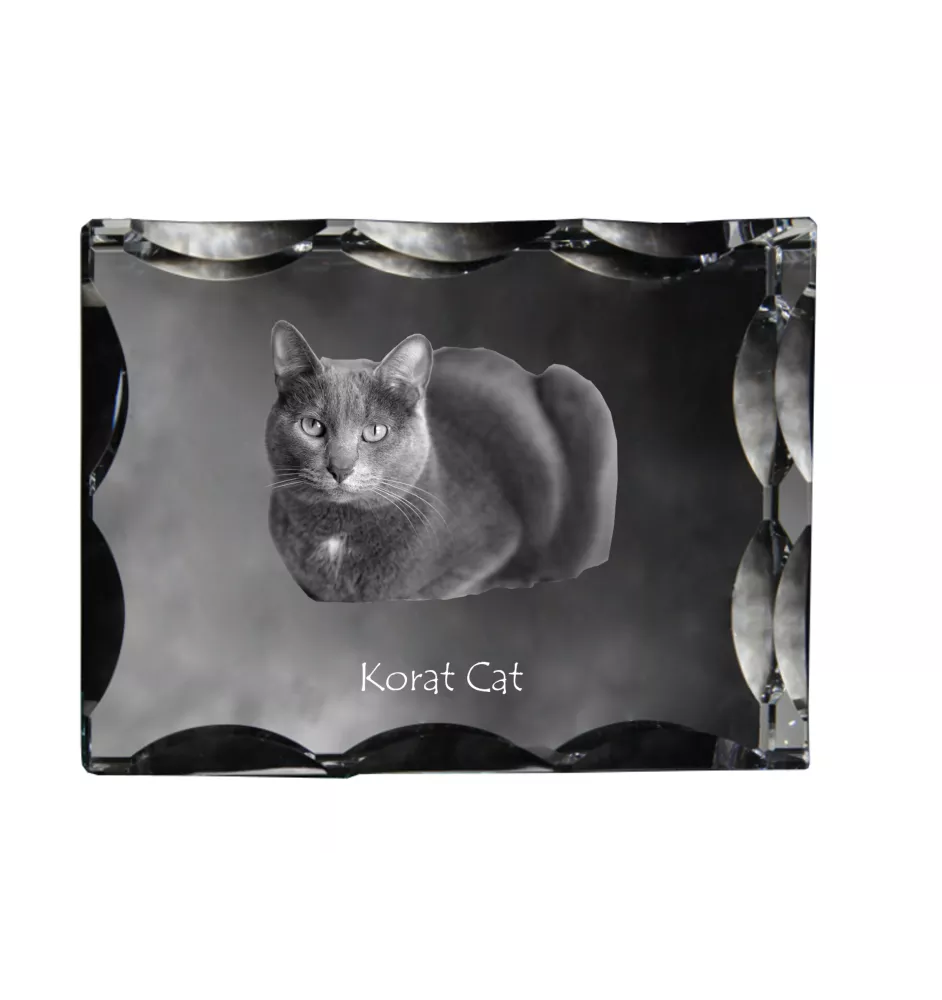 Chat Korat - cristal avec une photo de chat, une statuette en verre avec une photo, un cadre exceptionnel avec une photo de la marque Art-Dog