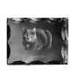Chat Korat - cristal avec une photo de chat, une statuette en verre avec une photo, un cadre exceptionnel avec une photo de la marque Art-Dog