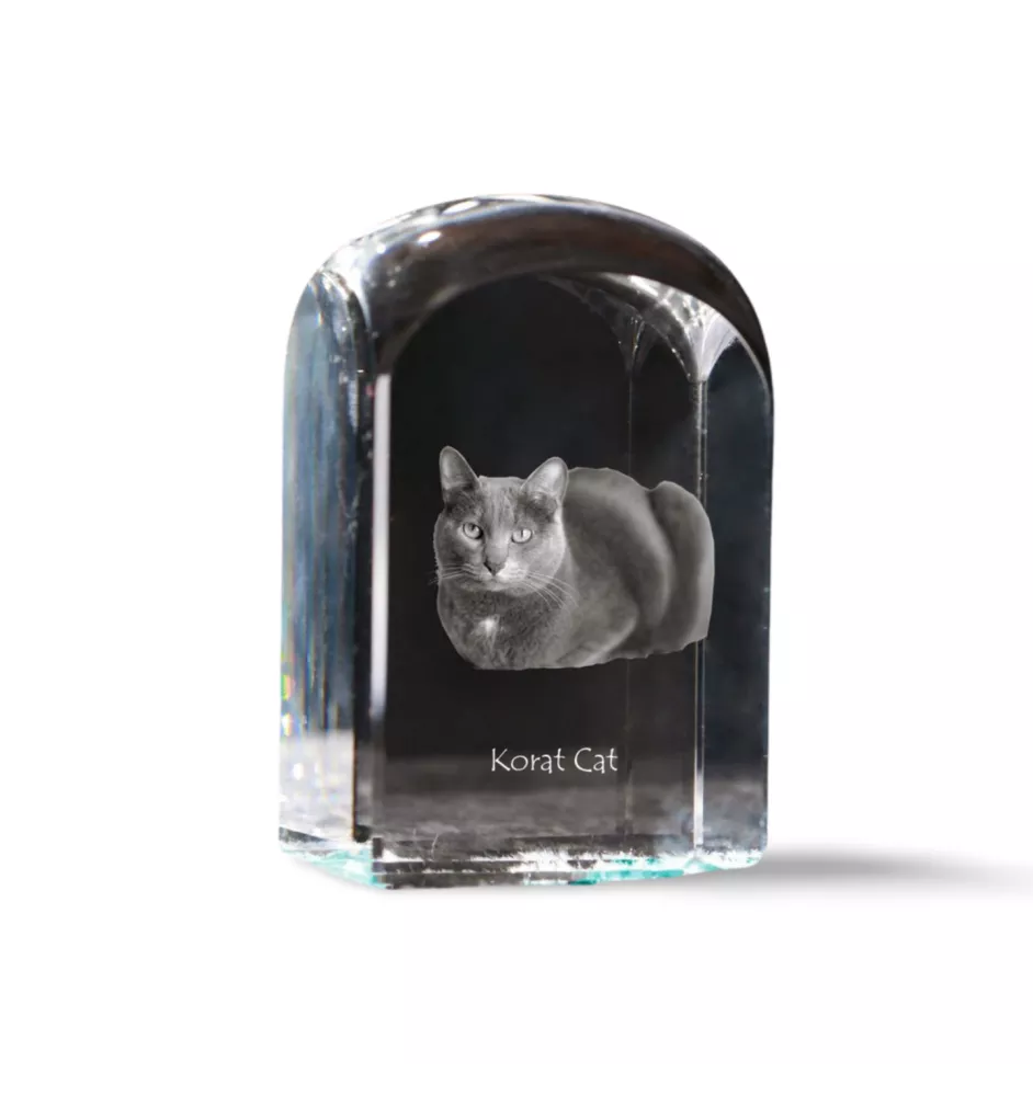 Korat Cat - crystal cube with a photo, photo of a cat in crystal, cubic paperweight from Art-Dog brand