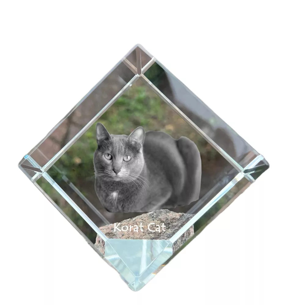 Chat Korat - un cube en cristal avec une photo de chat, une photo de cheval dans le cristal, un presse-papiers cubique de la marque Art-Dog