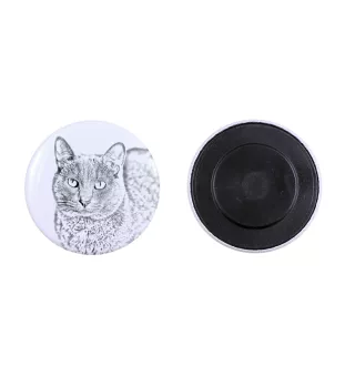 Korat Cat - collection of unique magnets, own photo, Art-Dog brand
