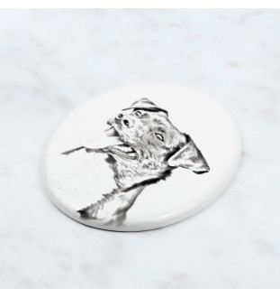 Dänisch-Schwedischer Farmhund, Dansk-Svensk Gårdshund - Gedenktafel mit einem Foto eines Hundes, Grabplatte mit Druck, personalisierte ovale Platte der Marke Art-Dog