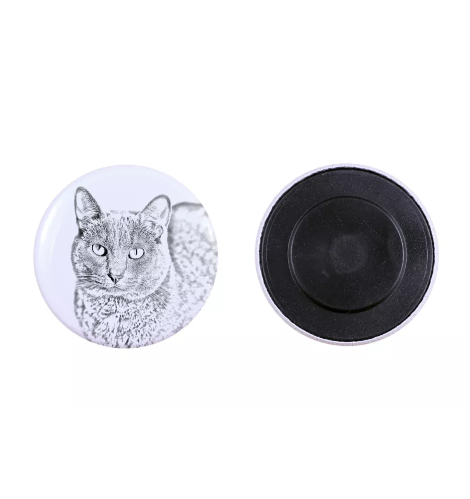 Chat Korat - collection de magnets uniques, photo personnelle, marque Art-Dog