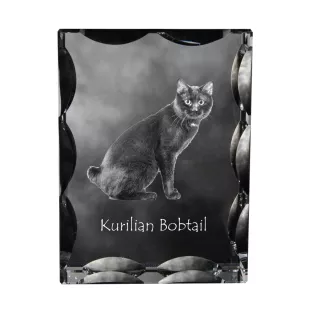 Bobtail kurilien - cristal avec une photo de chat, une statuette en verre avec une photo, un cadre exceptionnel avec une photo de la marque Art-Dog