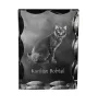 Bobtail kurilien - cristal avec une photo de chat, une statuette en verre avec une photo, un cadre exceptionnel avec une photo de la marque Art-Dog