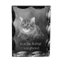 Kurilian bobtail longhaired - crystal with a cat picture, glass statuette with a picture, unique frame with a picture from Art-Dog brand