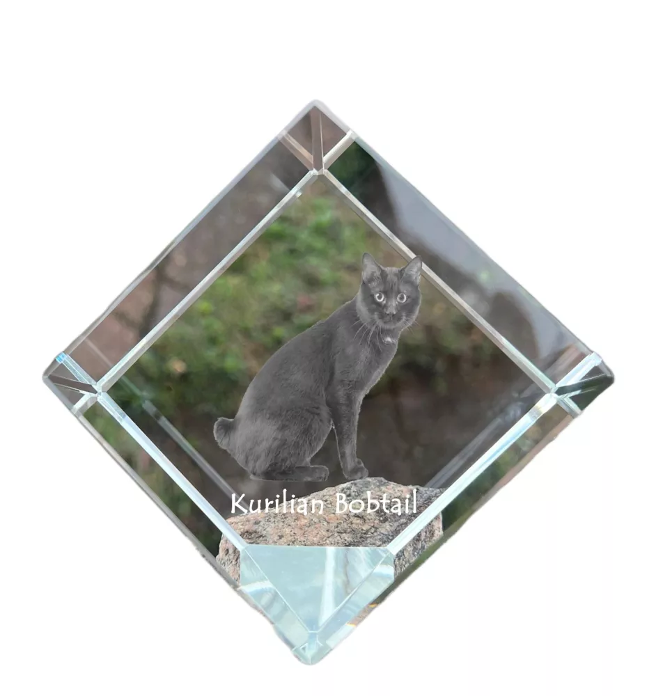 Kurilian bobtail - crystal cube with a picture of a cat, crystal with a picture of a horse, cubic paperweight by Art-Dog brand