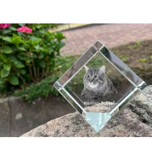 Kurilian bobtail longhaired - crystal cube with a picture of a cat, crystal with a picture of a horse, cubic paperweight by Art-Dog brand