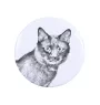 Kurilian bobtail - collection of unique magnets, own photo, Art-Dog brand