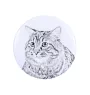 Kurilian bobtail longhaired - collection of unique magnets, own photo, Art-Dog brand