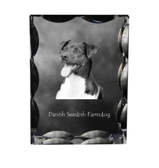 Duńsko-szwedzki pies wiejski ramka kryształowa z psem Art-Dog
