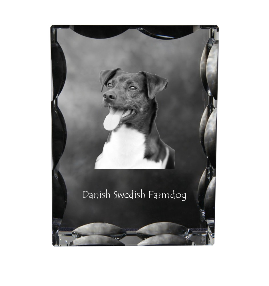 Duńsko-szwedzki pies wiejski ramka kryształowa z psem Art-Dog