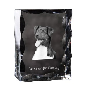 Danish-Swedish Farmdog - crystal with a picture of a dog, glass statuette with a picture, unique frame with a picture from Art-Dog brand