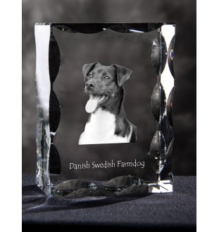 Dänisch-Schwedischer Farmhund, Dansk-Svensk Gårdshund - Kristall mit einem Hundebild, Glasstatuette mit einem Bild, einzigartiger Bilderrahmen der Marke Art-Dog
