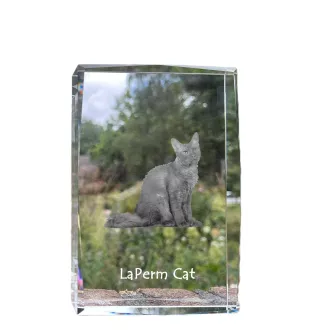 LaPerm Katze - Kristall mit einem Katzenbild, Bild im Glas, moderne Ausstellung des Art-Dog-Fotos.