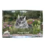 Maine Coon - Kristall mit einem Katzenbild, Bild im Glas, moderne Ausstellung des Art-Dog-Fotos.
