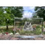 Maine Coon - cristal avec une photo de chat, photo sous verre, exposition moderne de la marque de photos Art-Dog