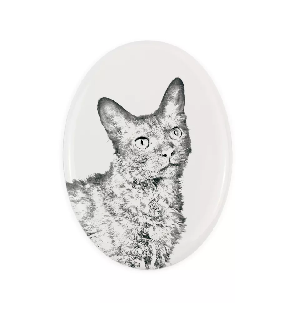 Chat LaPerm - une plaque commémorative avec une photo de chat, une plaque funéraire avec une impression, une plaque ovale personnalisée de la marque Art-Dog