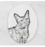 Chat LaPerm - une plaque commémorative avec une photo de chat, une plaque funéraire avec une impression, une plaque ovale personnalisée de la marque Art-Dog