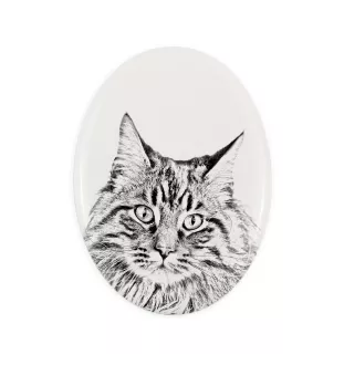 Maine Coon - commemorative plaque with a cat photo, tombstone with a print, personalized oval plaque from the Art-Dog brand