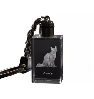 Laperm - Crystal pendant with cat photo, illuminated pendant, unique gift by Art-Dog brand