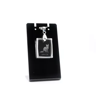 LaPerm Katze - Crystal cat pendant, photo necklace, unique jewellery by Art-Dog