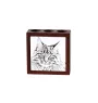Maine Coon - Stifthalter mit Katze, Schreibtischorganizer mit Aufdruck, personalisierte Schreibtischdekoration von der Marke Art-Dog