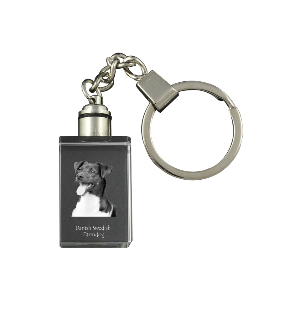 Danish-Swedish Farmdog - Crystal key ring with dog photo, illuminated key ring, unique gift by Art-Dog brand