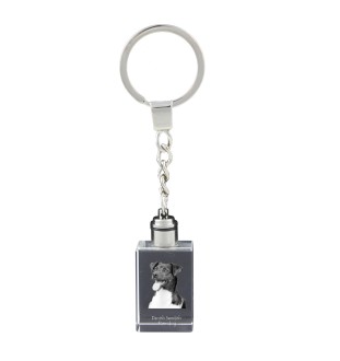 Danish-Swedish Farmdog - Crystal key ring with dog photo, illuminated key ring, unique gift by Art-Dog brand