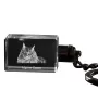 Maine Coon - Pendentif en cristal avec photo de chat, pendentif lumineux, cadeau unique de la marque Art-Dog