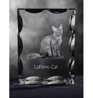 LaPerm Cat - crystal with a cat picture, glass statuette with a picture, unique frame with a picture from Art-Dog brand