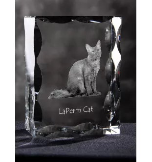 LaPerm Cat - crystal with a cat picture, glass statuette with a picture, unique frame with a picture from Art-Dog brand