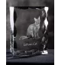 LaPerm Cat - crystal with a cat picture, glass statuette with a picture, unique frame with a picture from Art-Dog brand