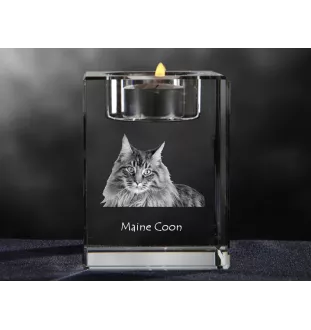 Maine Coon - Bougeoir avec photo de chat, porte bougie en cristal, cadeau personnalisé par la marque Art-Dog