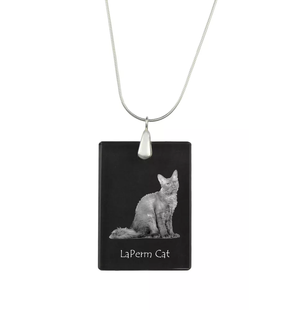 Chat LaPerm - Crystal pendant with cat, silver necklace with photo, personalised pendant by Art-Dog brand