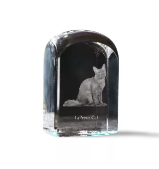 Chat LaPerm - un cube en cristal avec une photo, une photo de chat dans le cristal, un presse-papiers cubique de la marque Art-Dog