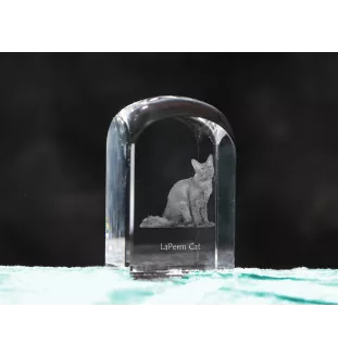 Chat LaPerm - un cube en cristal avec une photo, une photo de chat dans le cristal, un presse-papiers cubique de la marque Art-Dog