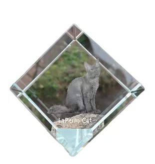 LaPerm Katze - Kristallwürfel mit Katzenbild, Pferdebild im Kristall, sechseckiger Papierclip von der Marke Art-Dog