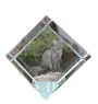 LaPerm Cat - crystal cube with a picture of a cat, crystal with a picture of a horse, cubic paperweight by Art-Dog brand