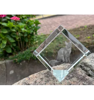 Chat LaPerm - un cube en cristal avec une photo de chat, une photo de cheval dans le cristal, un presse-papiers cubique de la marque Art-Dog