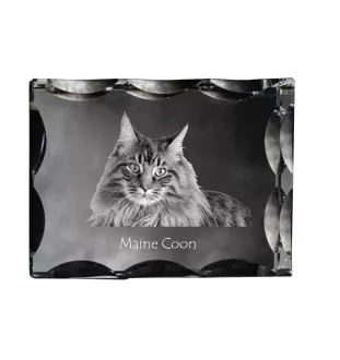 Maine Coon - cristal avec une photo de chat, une statuette en verre avec une photo, un cadre exceptionnel avec une photo de la marque Art-Dog