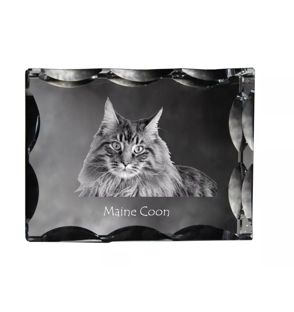 Maine Coon - crystal with a cat picture, glass statuette with a picture, unique frame with a picture from Art-Dog brand